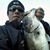 Cliff Ayscue's profile image