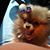 Brandi Vorhies's profile image