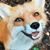 Riley Costigan's profile image