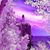 Karen Figurel's profile image