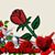 Sandy Gibson Williams's profile image