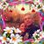 Terri Barcellos Torosian's profile image