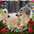 Charlotte Yealey's profile image