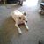 Judith Mansfield's profile image