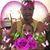 Maria Sanchez's profile image