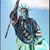 Patrick Claypool's profile image