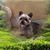 Diane Groves Smith's profile image