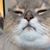 Sadie Burgess's profile image