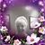 Shirley Dannan's profile image