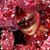 Sandra Smith's profile image