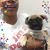 Michelle Harnarinesingh's profile image