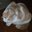 Magellan Travels's profile image