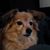 Rose Dawson's profile image
