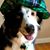 Jeremy Kelly's profile image