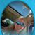 Dawn Adele Walker's profile image