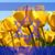 Shoshana Ross's profile image