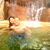 Ricky N Tanya Sotelo's profile image