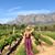 Amy Shortt's profile image