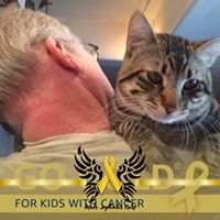 Shannon Robinson's profile image