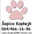 Sapica Kapkejk's profile image
