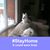 Lynne Malizia Calderwood's profile image