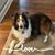 Sharon Cahoon-Winter's profile image
