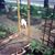 Cathy Simon's profile image