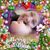 Christine Adams's profile image
