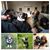 Matthew David Wiater's profile image