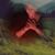 Lee Hilfiker's profile image