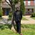 Christopher Williams's profile image