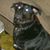 Melisa Bell Lough's profile image
