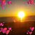 Karol Nestor's profile image