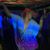 Rachel Stephen's profile image