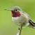 Debra Stewart's profile image
