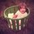 Chani Geigle-Teller's profile image
