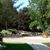 Angelique S Miller's profile image