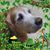 Cathy Schadler's profile image