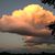Sherry Olsen's profile image