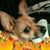 Beth Elison's profile image