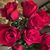 Sandra Collins McPeek's profile image