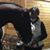 Sherrill Woessner's profile image