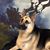 Joyce Menefee's profile image