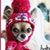 Kathy Lee's profile image