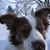 David Hosteter's profile image