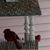 Mary B. Schaub's profile image