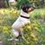 Fredric Grethel's profile image