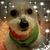 Ginger Monaghan's profile image