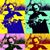 Mike Berry's profile image