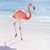 Elizabeth Serafini's profile image